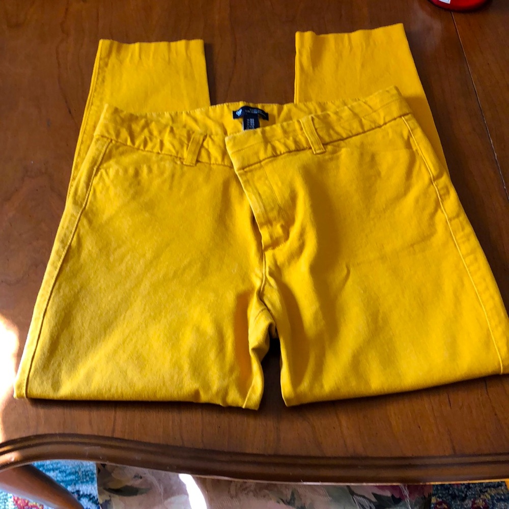 Dress pants